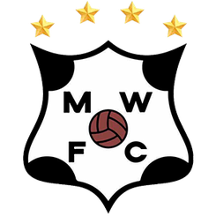 蒙得维的亚流浪者logo