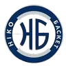 尼古拉耶夫尼科logo