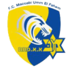 蒂亚雷logo