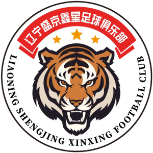辽宁盛京鑫星logo
