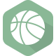 利贝雷茨山猫logo