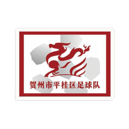 贺州市平桂区队
