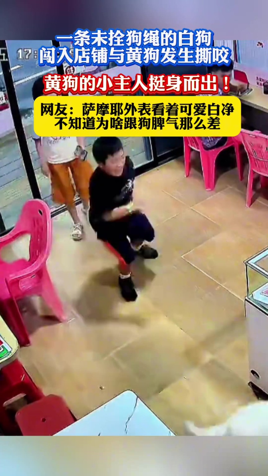 未拴狗绳的白狗闯入店铺与黄狗发生撕咬，黄狗的小主人挺身而出