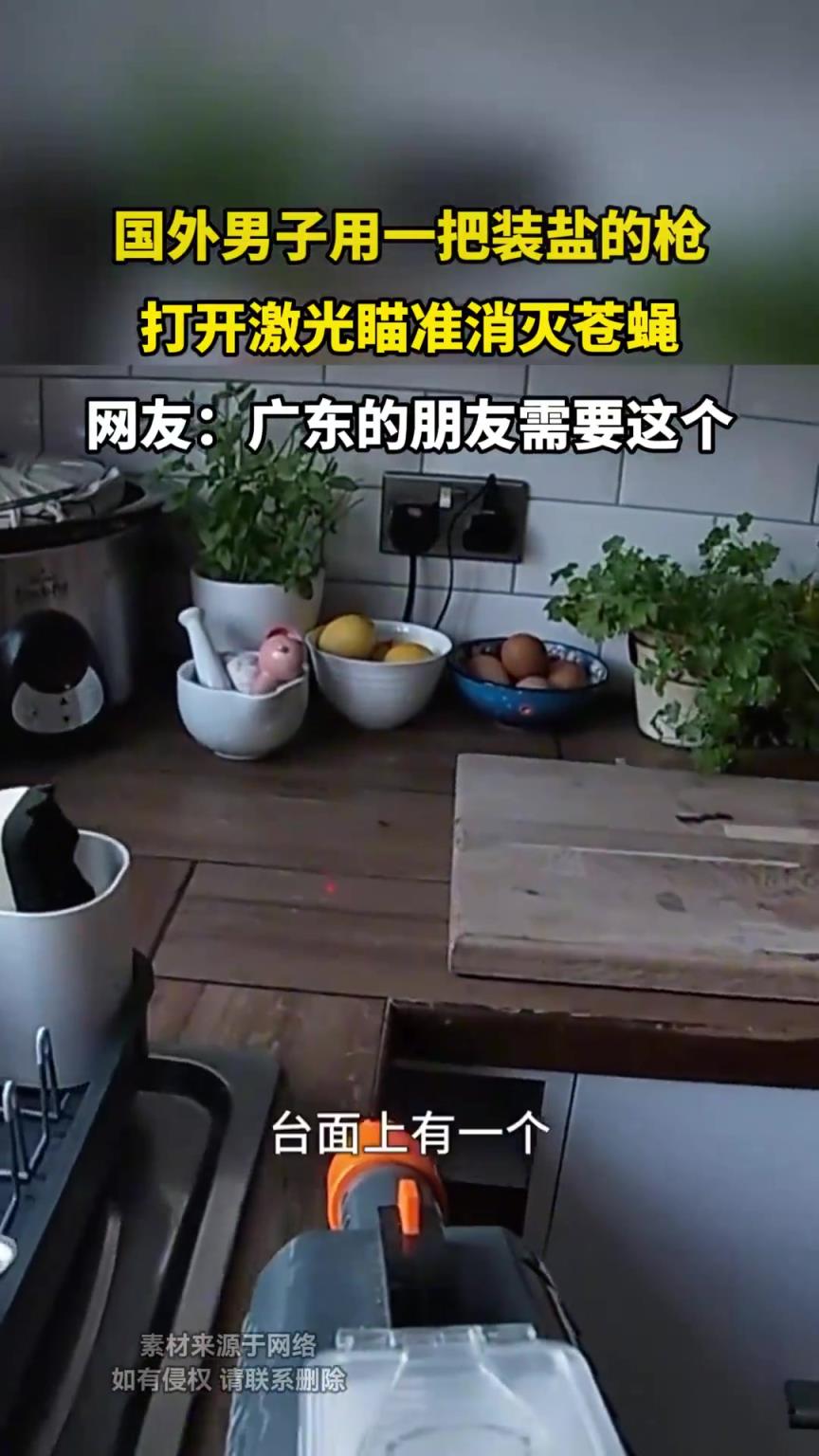 国外男子用一把装盐的枪，打开激光瞄准消灭苍蝇！