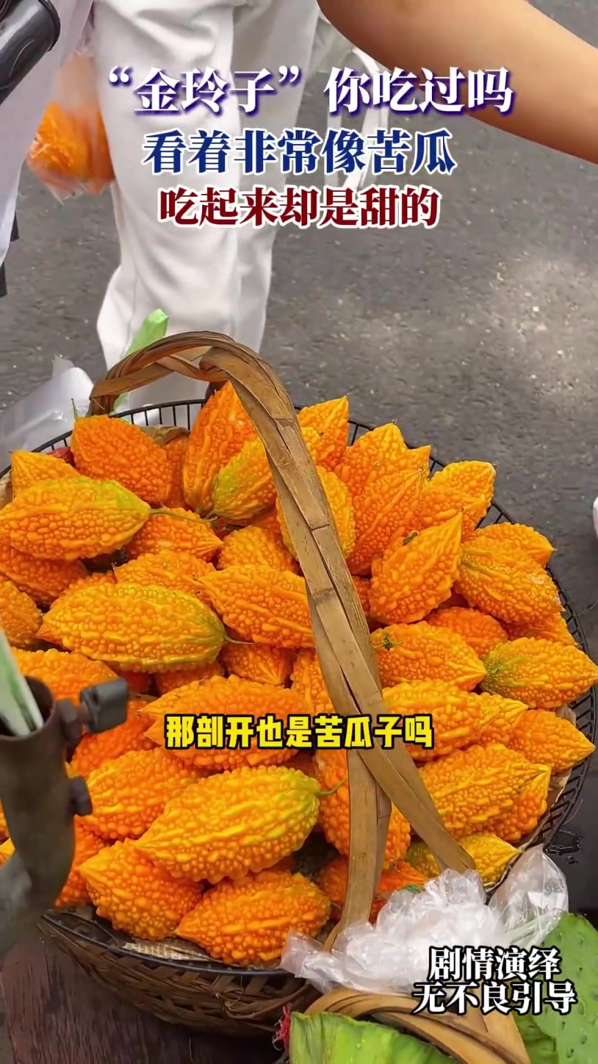 金玲子你吃过吗，看着非常像苦瓜，吃起来却是甜的！