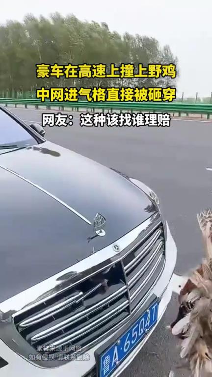 豪车在高速上撞上野鸡，中网进气格直接被砸穿