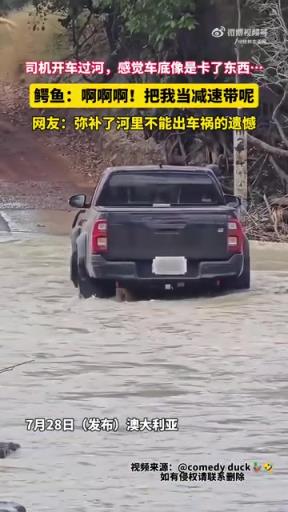 司机开车过河，感觉车底像是卡了东西……
