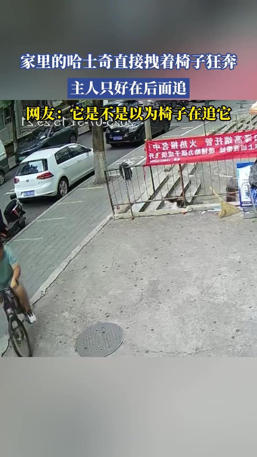 家里的哈士奇直接拽着椅子狂奔，主人只好在后面追