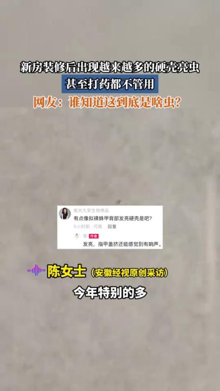 新房装修后出现越来越多的硬壳亮虫，甚至打药都不管用