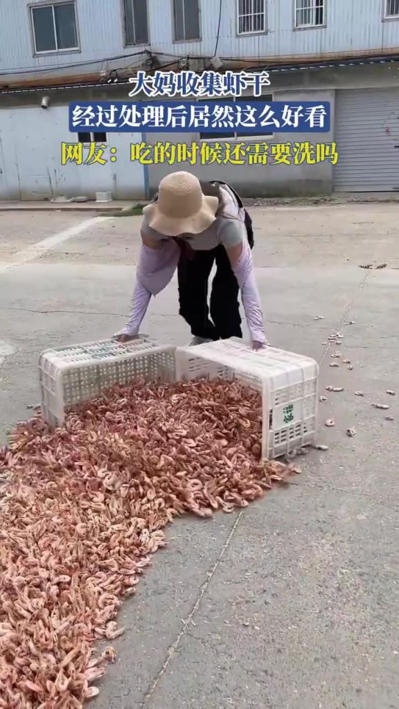 大妈处理虾干颜值高 网友问吃前需洗吗