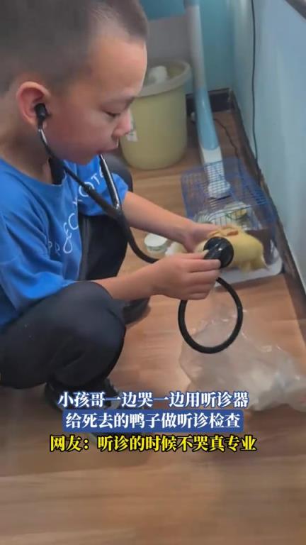 小孩哥一边哭一边用听诊器，给死去的鸭子做听诊检查