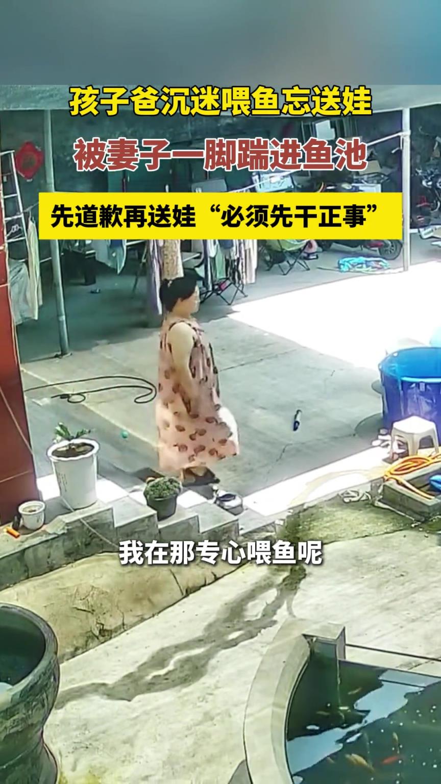 孩子爸爸沉迷于喂鱼 老婆喊了几次没反应 被一脚踹进鱼池