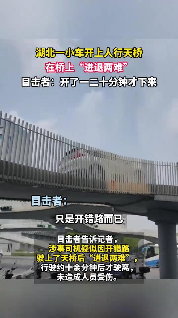 湖北一小车开上人行天桥，在桥上“进退两难”，他是怎么想的？