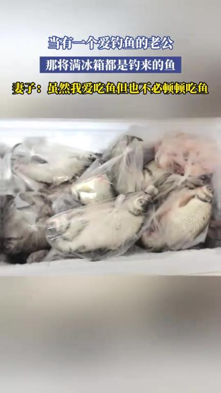 当有一个爱钓鱼的老公，那将满冰箱都是钓来的鱼