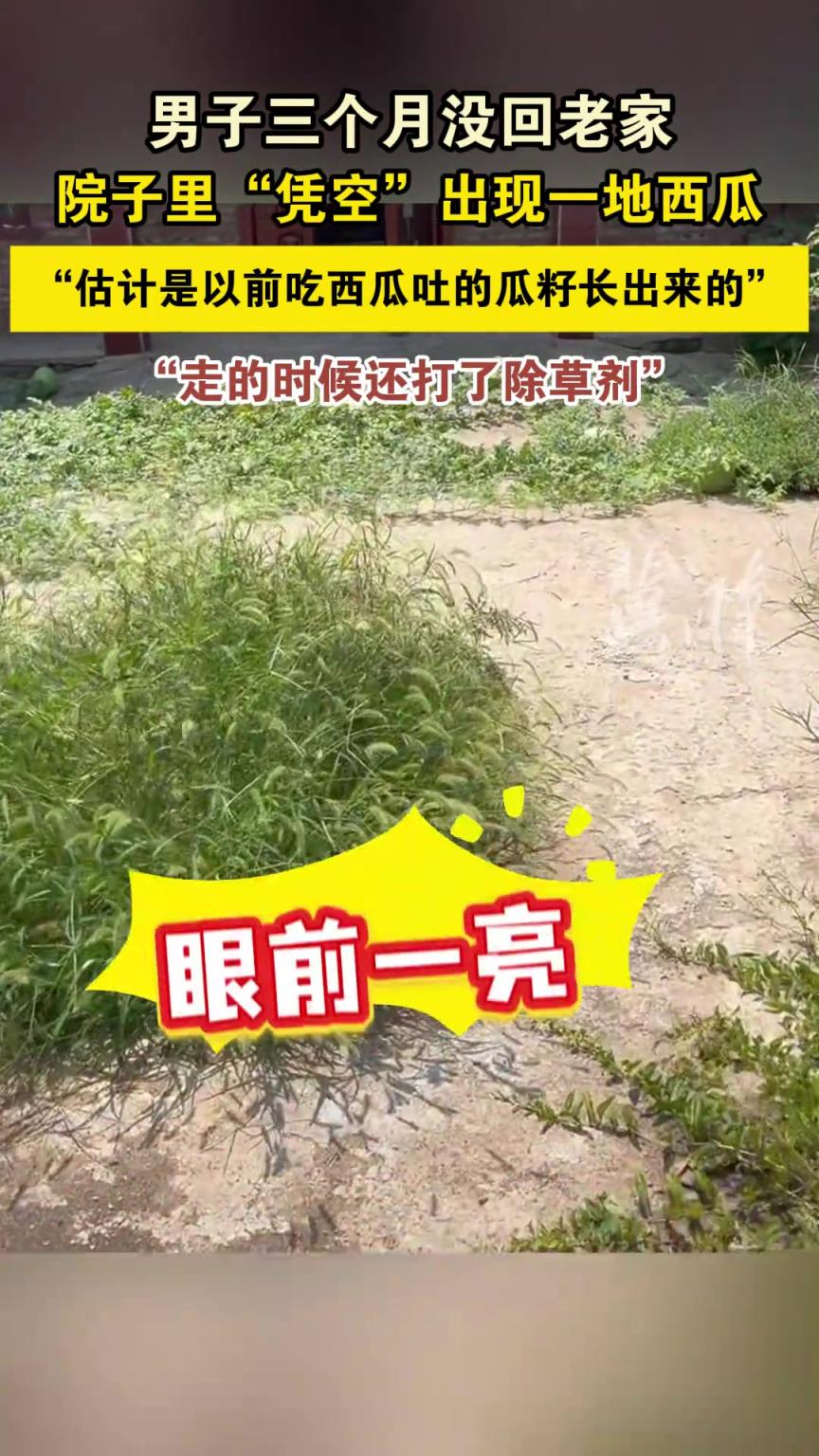 男子三个月没回老家，院子里“凭空”出现一地西瓜