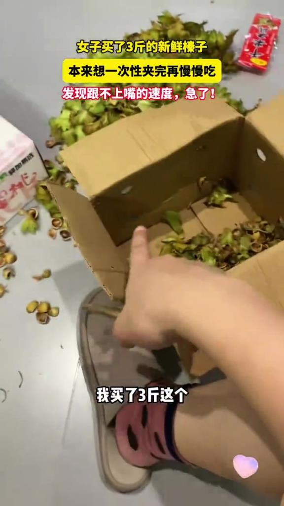 女子买了3斤的新鲜榛子，本来想一次性夹完再慢慢吃，结果..