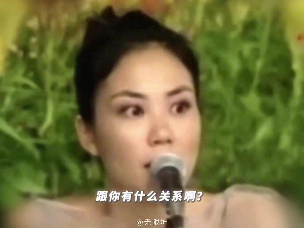 记者：离婚手续是不是办完了，王菲：关你什么事？