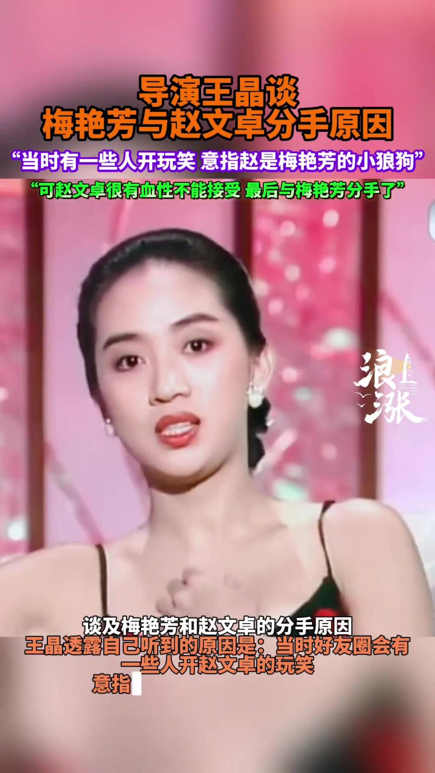 王晶谈梅艳芳与赵文卓恋情，赵文卓是梅艳芳的小狼狗
