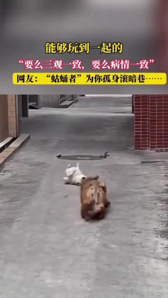能够玩到一起的“要么三观一致，要么病情一致”