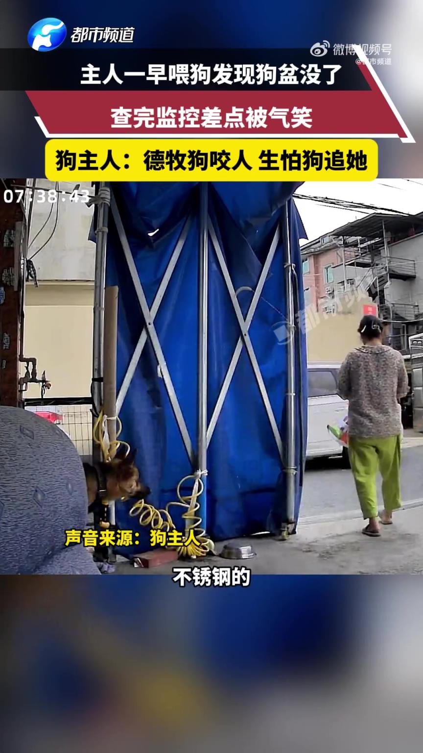 主人喂狗发现狗盆被偷了