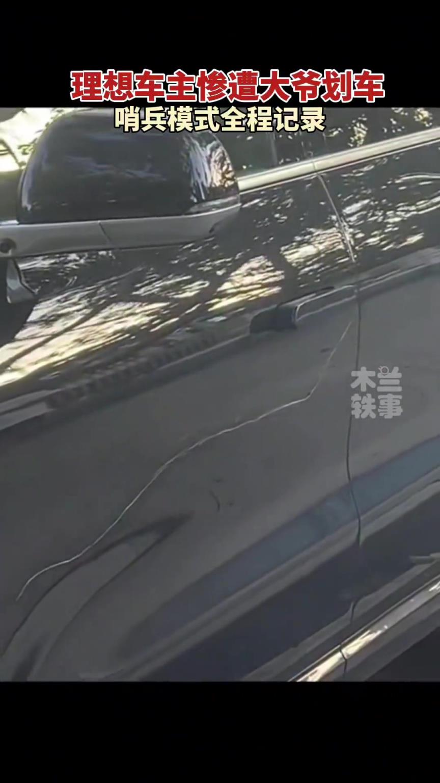 理想车主惨遭划车，哨兵模式全程记录