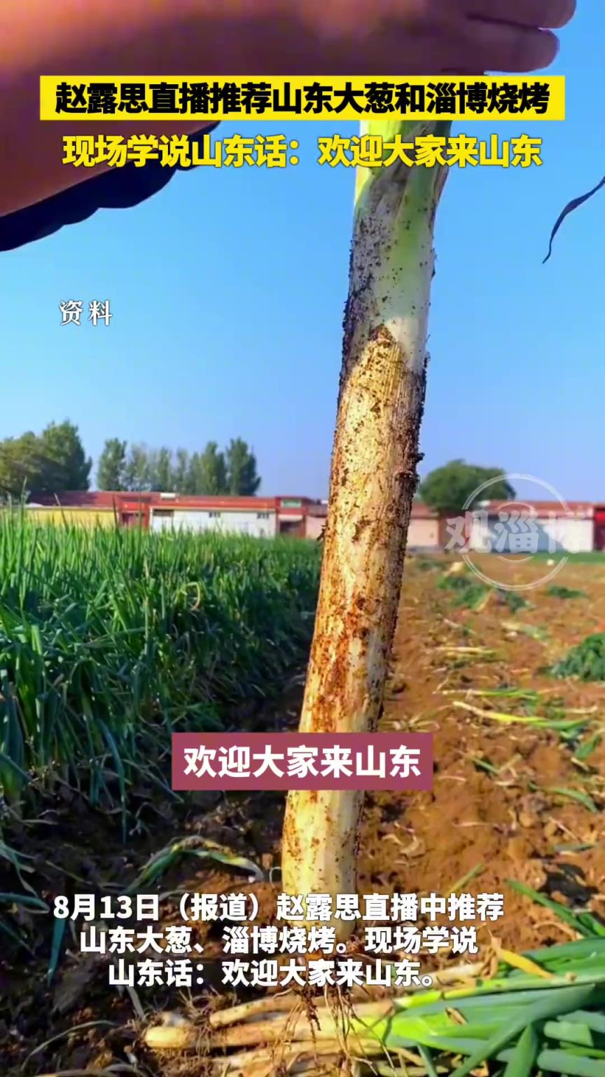 赵露思直播推荐山东大葱和淄博烧烤，现场学说山东话