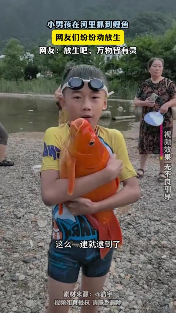 小男孩在河里抓到鲤鱼,网友们纷纷劝放生！！