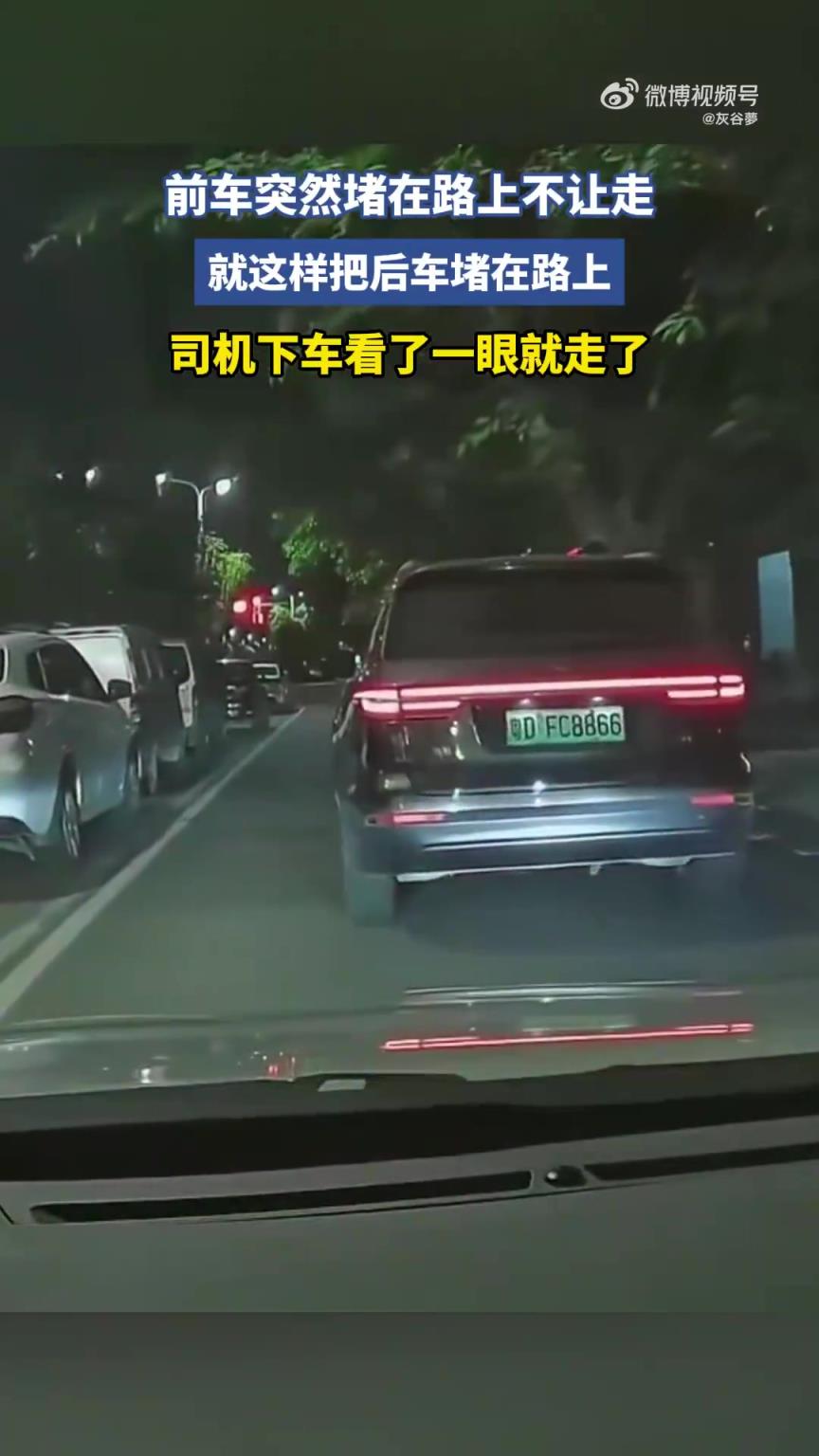 前车突然停在路上,就这样把后车堵住,司机下车看了一眼就走了!