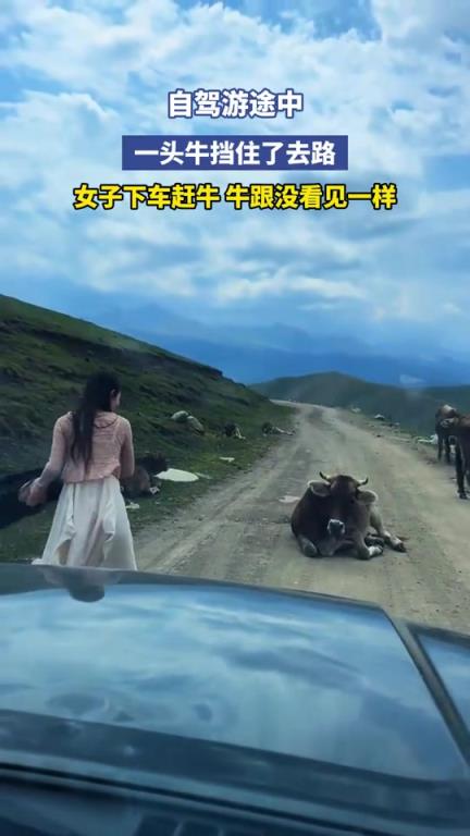 自驾游途中，一头牛挡住了去路，女子下车赶牛