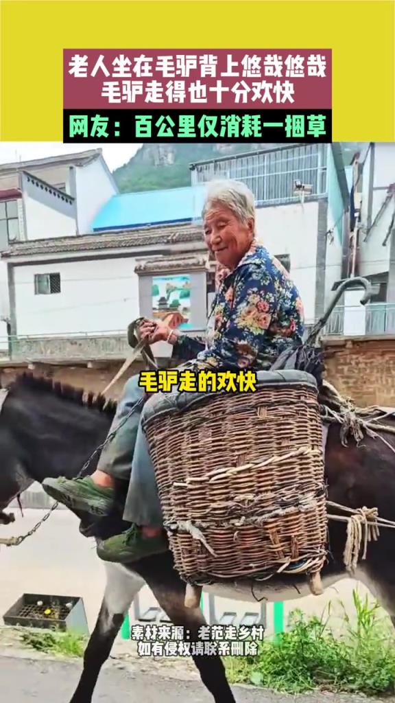 老人坐在毛驴背上悠哉悠哉，毛驴走得也十分欢快