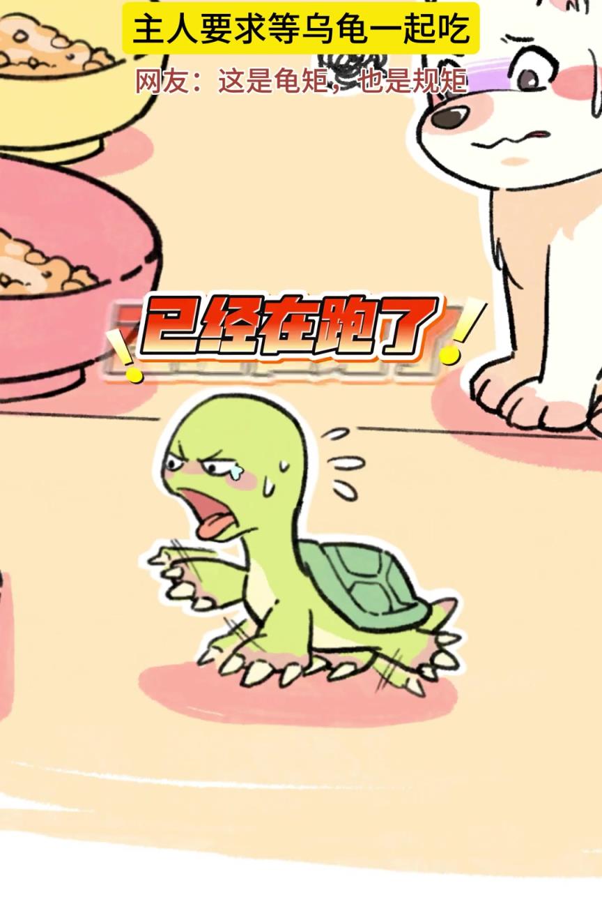 乌龟：我不上桌，谁也不许吃