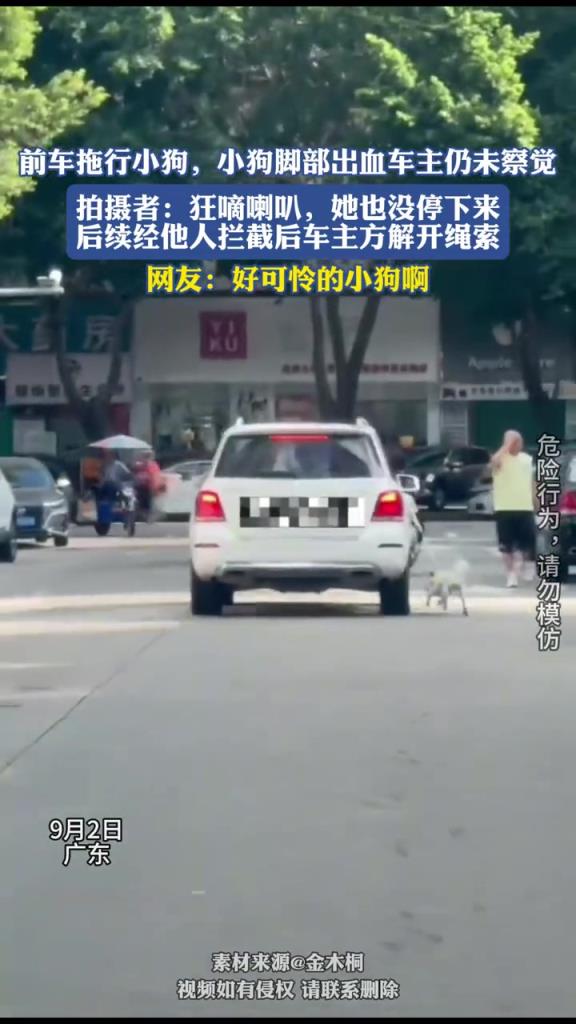 前车拖行小狗，小狗脚部出血车主仍未察觉！！