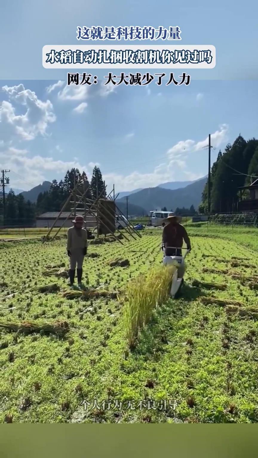 这就是科技的力量，水稻自动扎捆收割机你见过吗