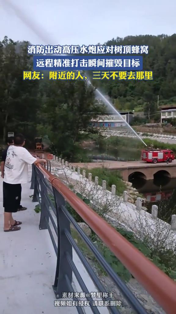 消防出动高压水炮应对树顶蜂窝，远程精准打击！！