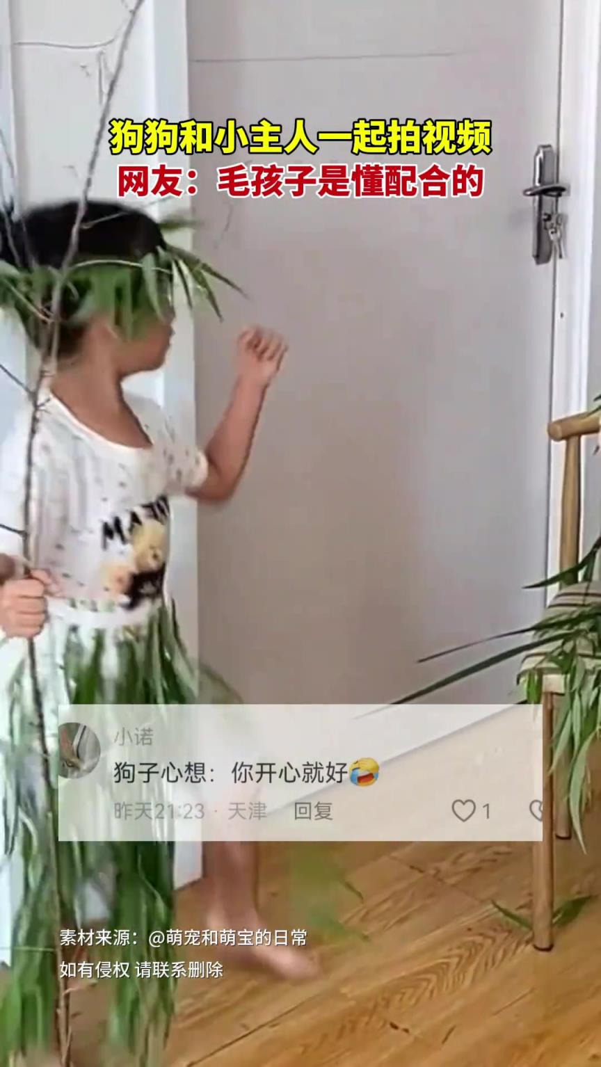 狗：没有一口狗粮是白吃的！
