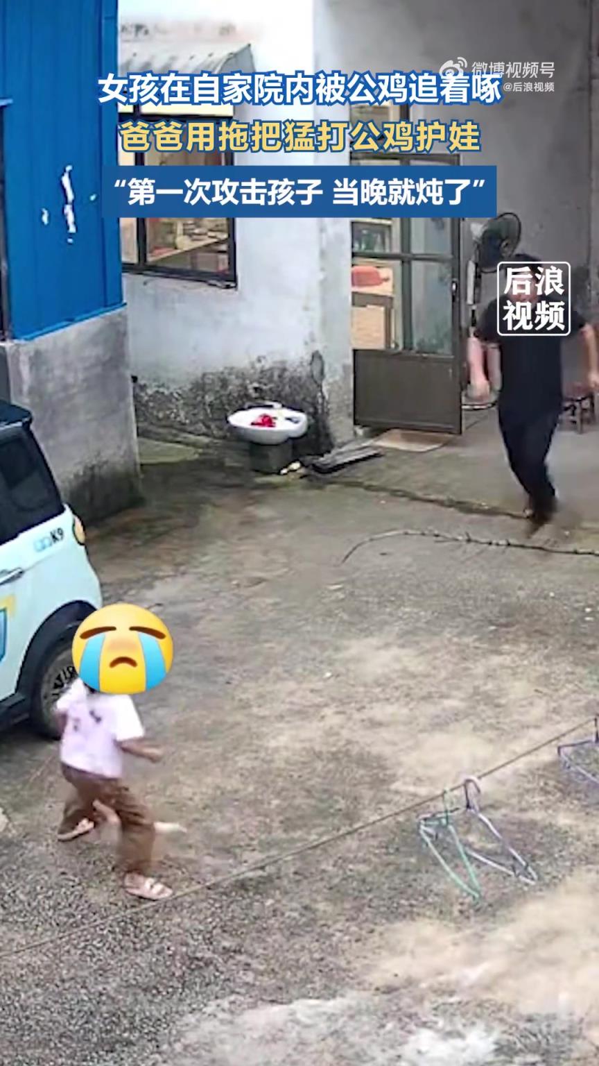 女儿被公鸡啄哭爸爸直接杀鸡炖汤
