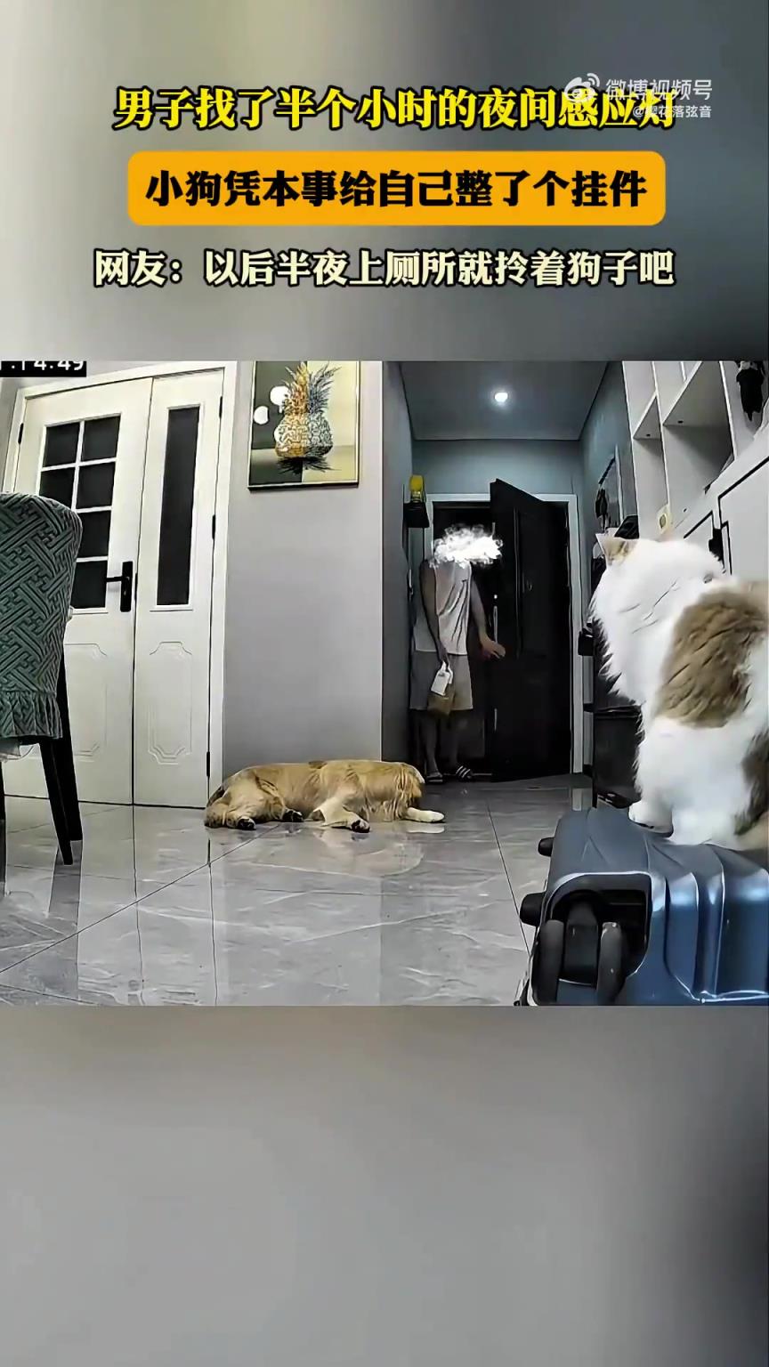 男子找感应灯半小时，小狗给自己整挂件