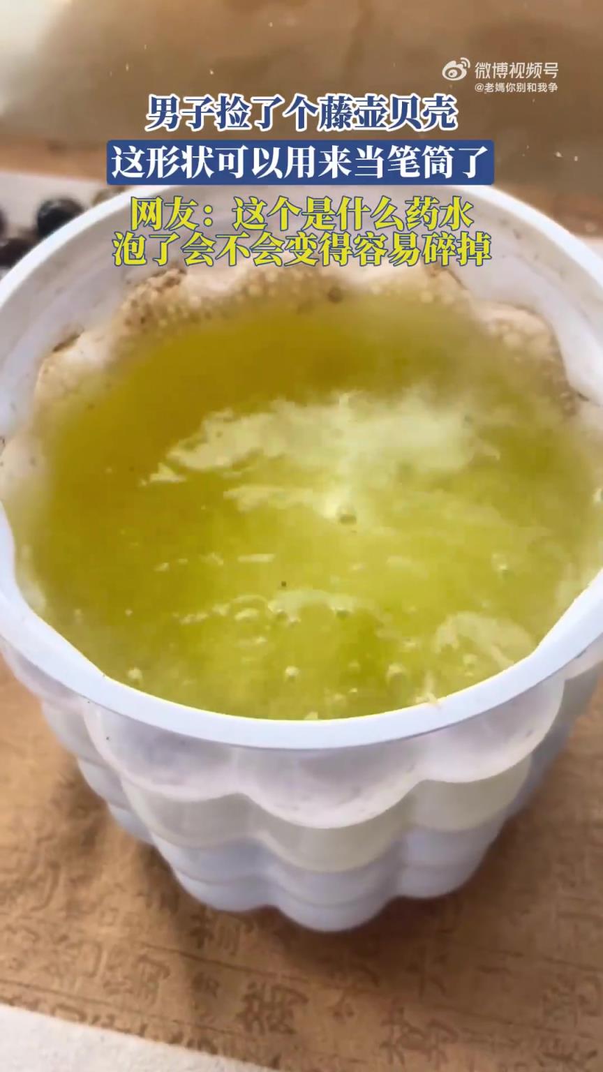 男子捡了个藤壶贝壳,这形状可以用来当笔筒了