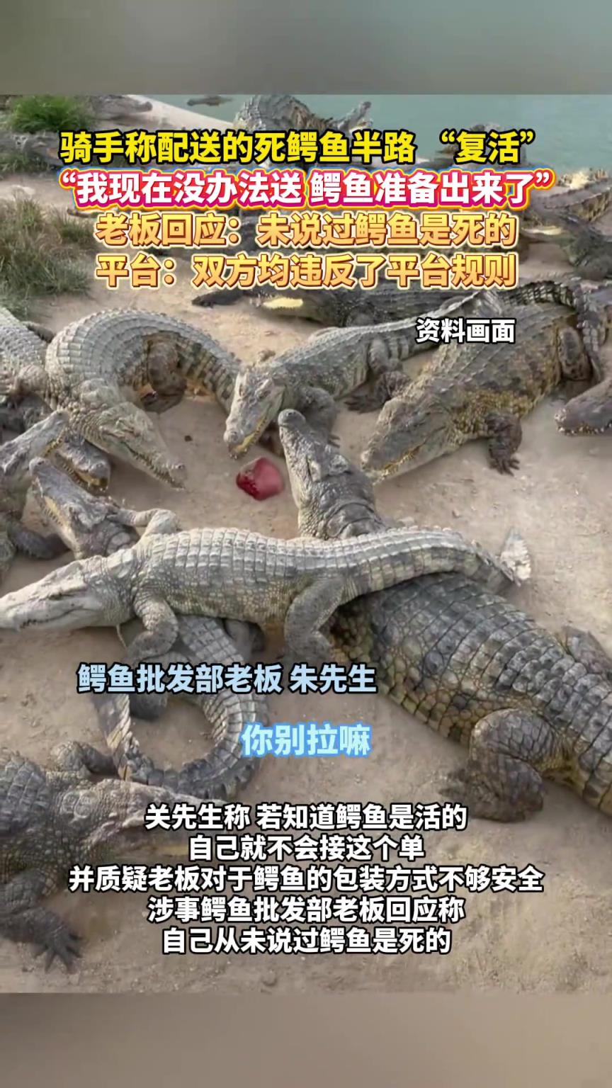 骑手称配送的死鳄鱼半路“复活” ，没办法送，鳄鱼准备出来了