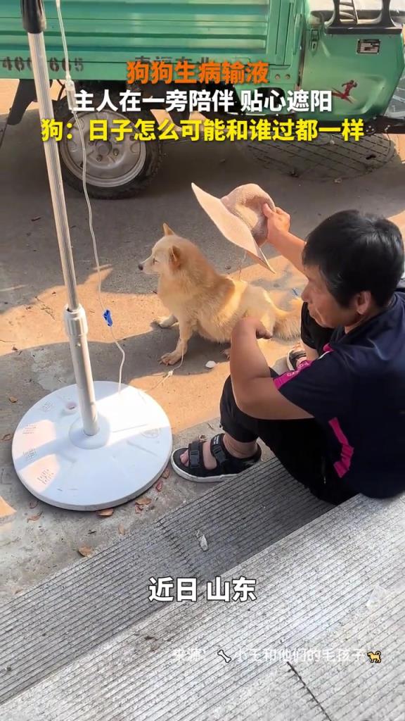 狗：日子怎么可能和谁过都一样
