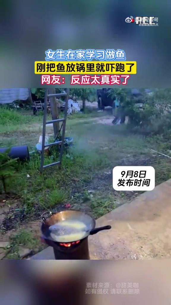 女生在家学习做鱼，刚把鱼放锅里就吓跑了