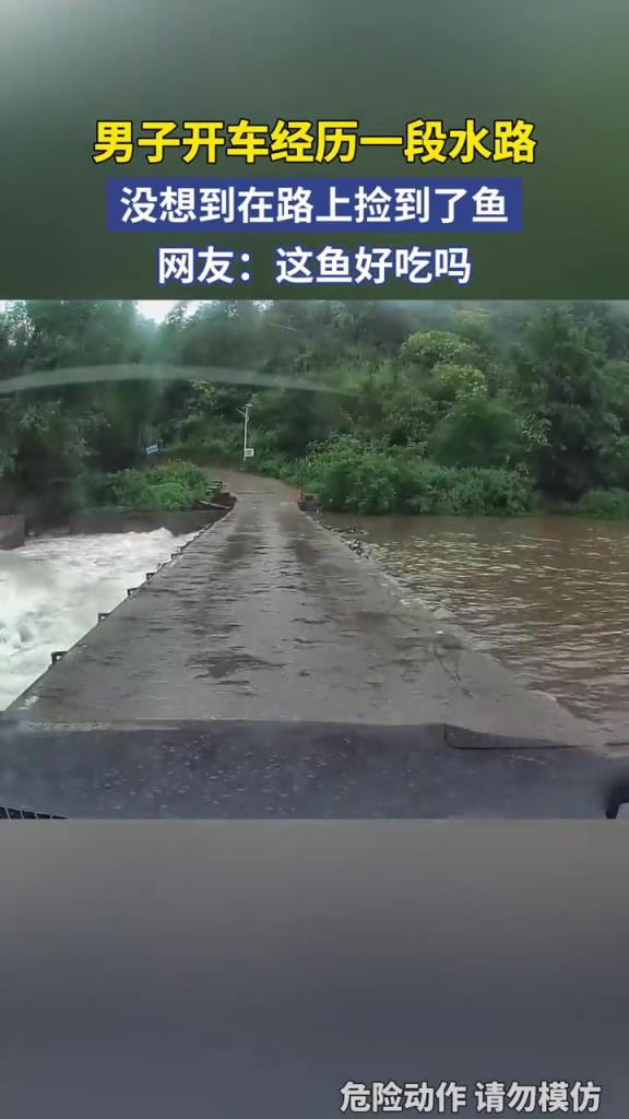 男子开车经过一段水路，没想到在路上捡到了鱼！！