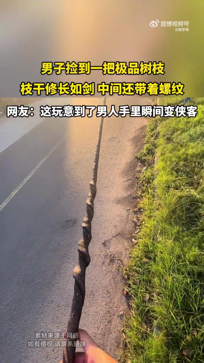 男子捡到一把极品树枝，枝干修长如剑 中间还带着螺纹！