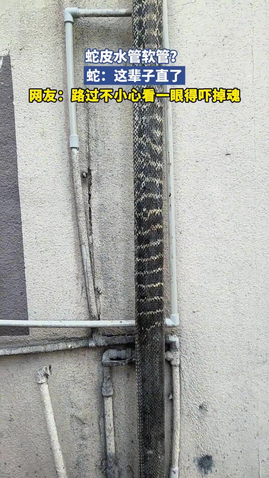 网友：路过不小心看一眼得吓掉魂.