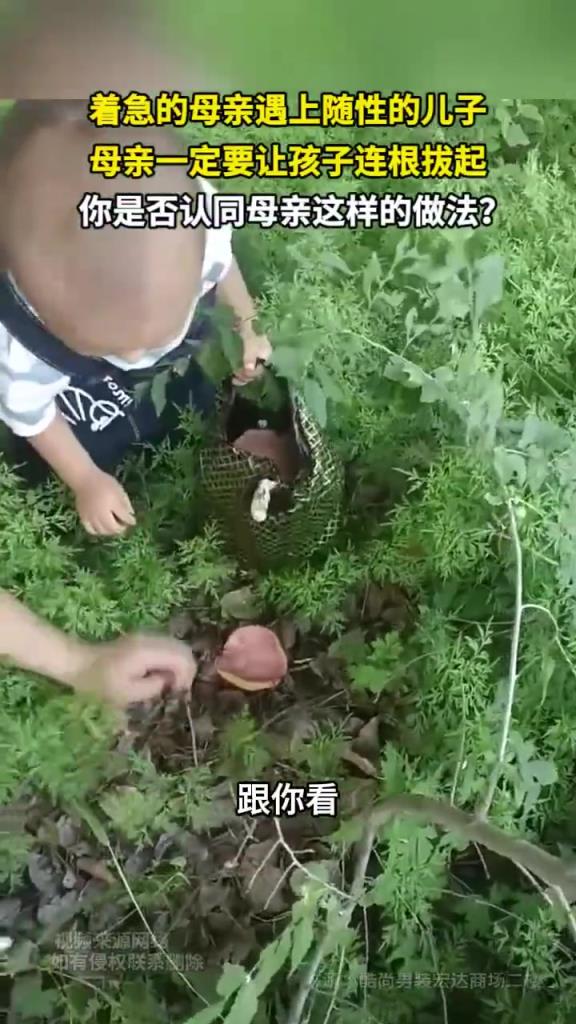 着急的母亲遇上随性的儿子 母亲一定要让孩子连根拔起