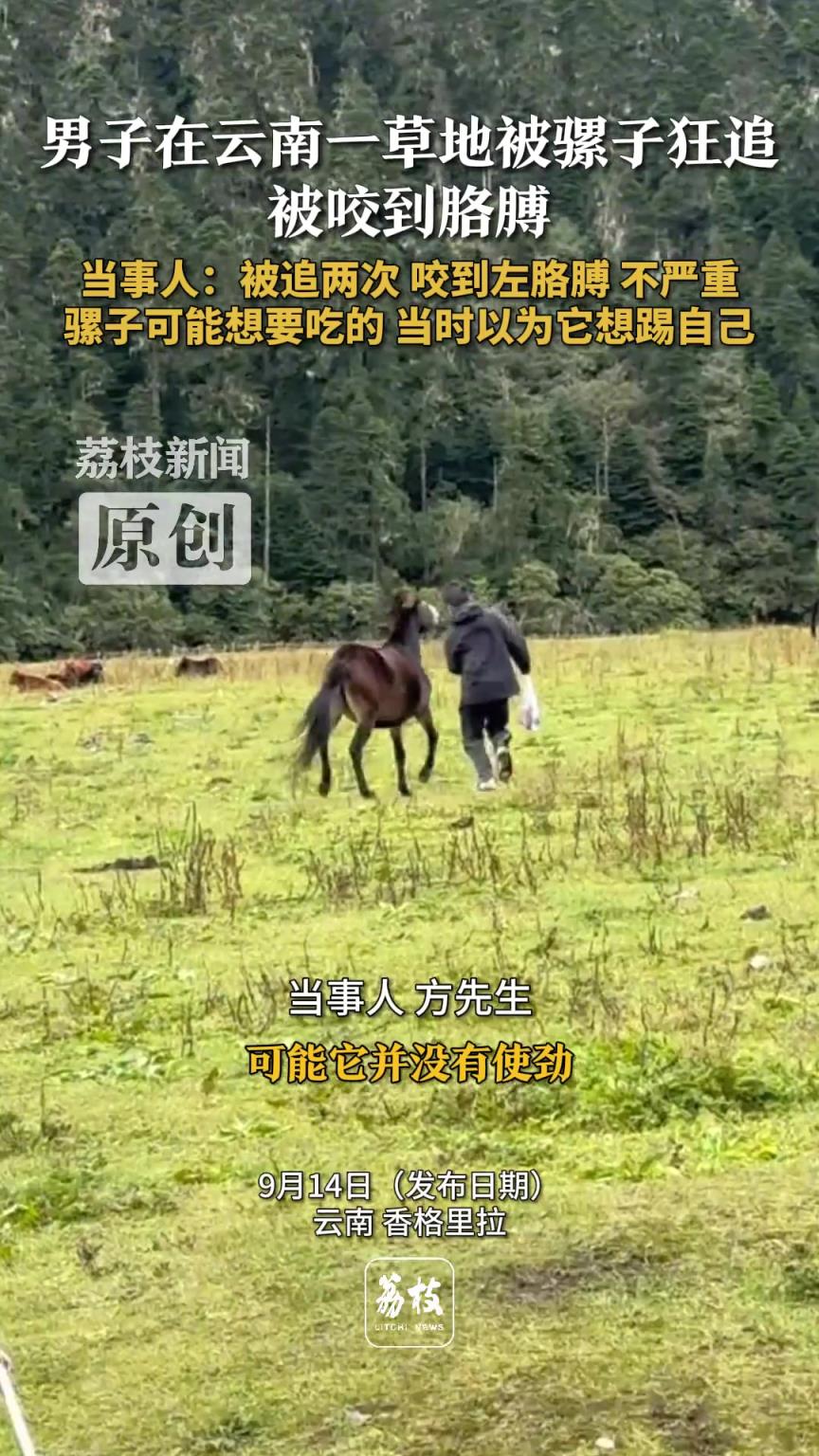 男子在云南一草地被骡子狂追 被咬到胳膊