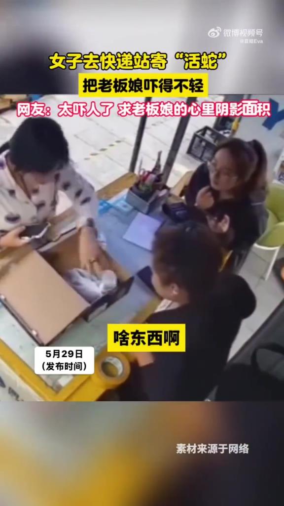 女子快递站寄活蛇吓坏老板娘，网友直呼太吓人