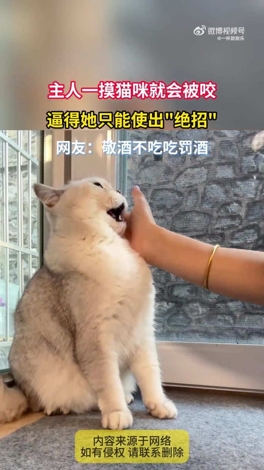 主人摸猫总被咬，被逼得使出绝招