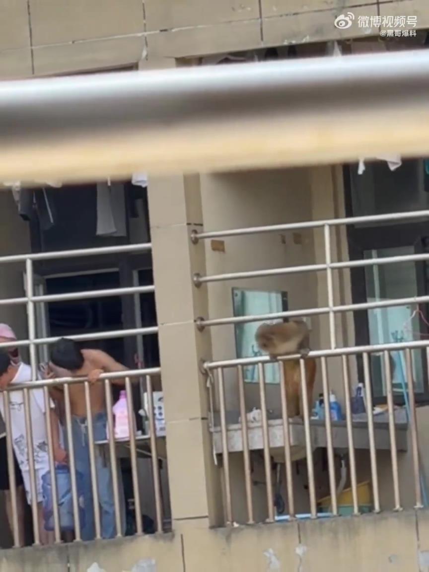 一群男生被吓得尽显柔弱模样