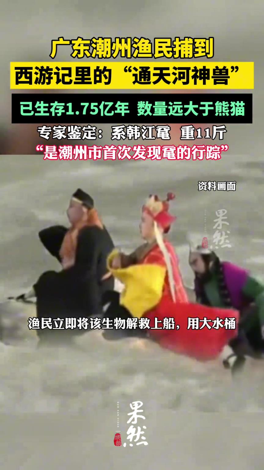 广东潮州渔民捕到西游记里的“通天河神兽”